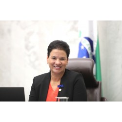 Deputada Marli solicita implantação de uma nova linha de ônibus no Bairro Rondinha, em Campo Largo